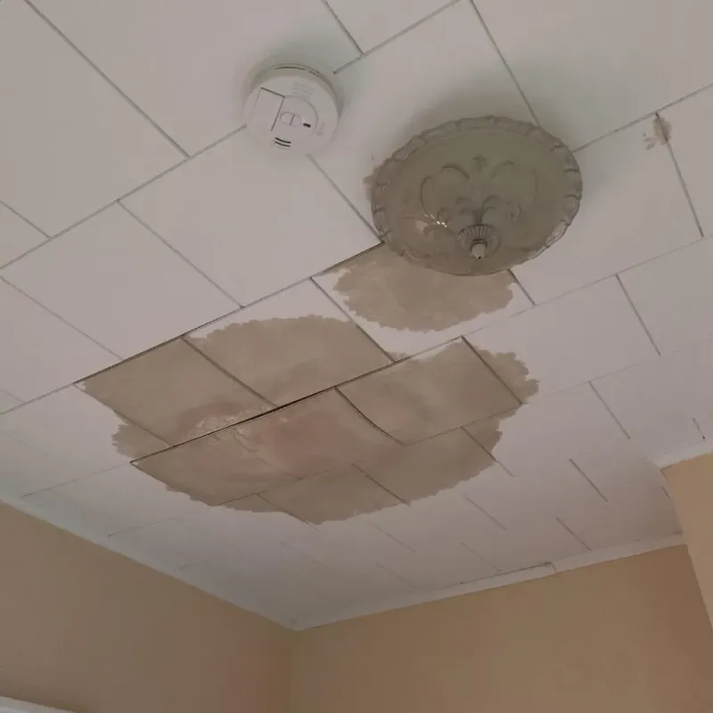 Ceiling Water Damage Repair in Joliet, IL