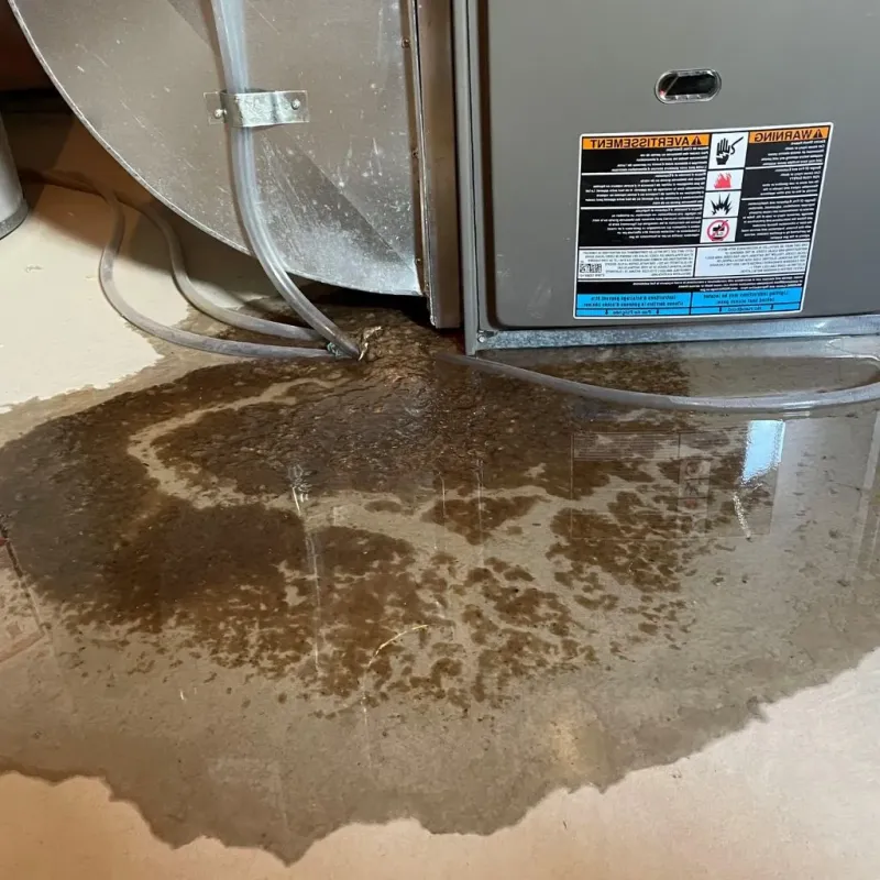 Pipe Burst and Leak Restoration in Joliet, IL