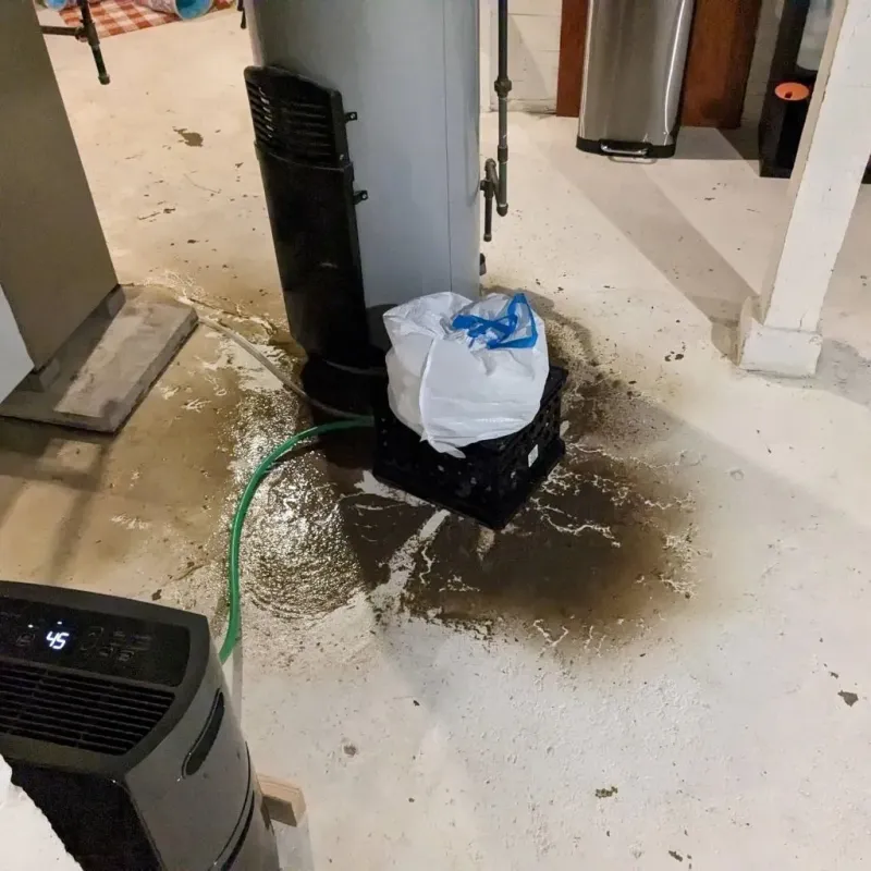 Sewage Backup Cleanup Service in Joliet, IL